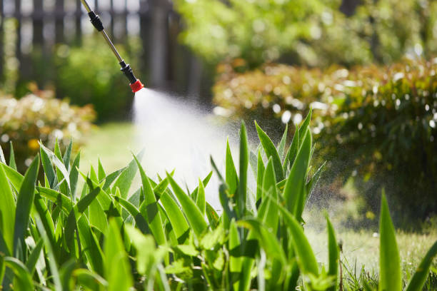 24/7 Emergency Mosquito Control experts in Rosendale, WI