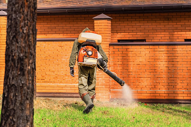 Top rated local Mosquito Control specialists in Rosendale, WI